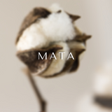 Lagom Studios x The Female Suit_Encouragement Collection_MATA